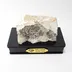 iran-dendritic-fossil-2211